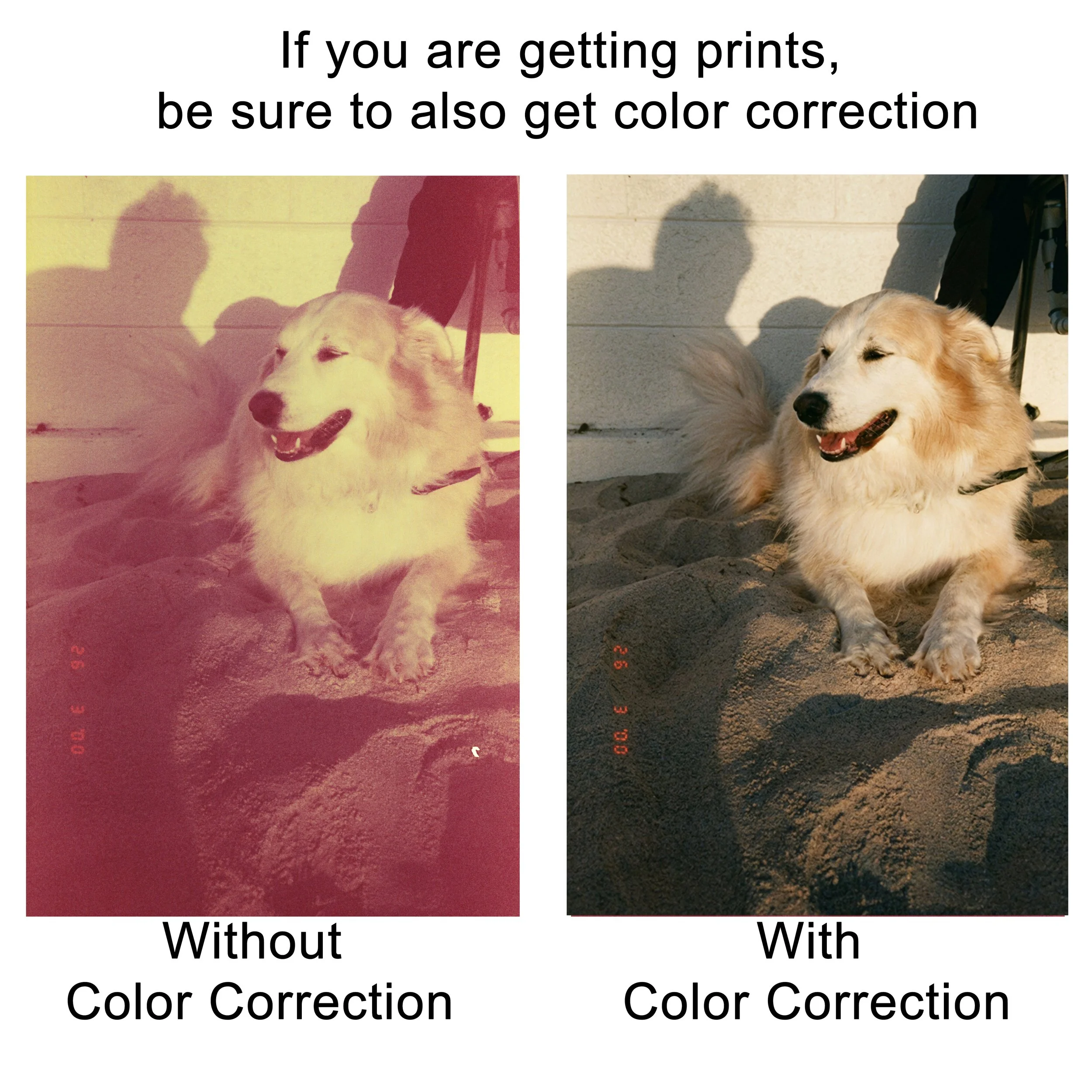 Seattle Film Works Sample.jpg