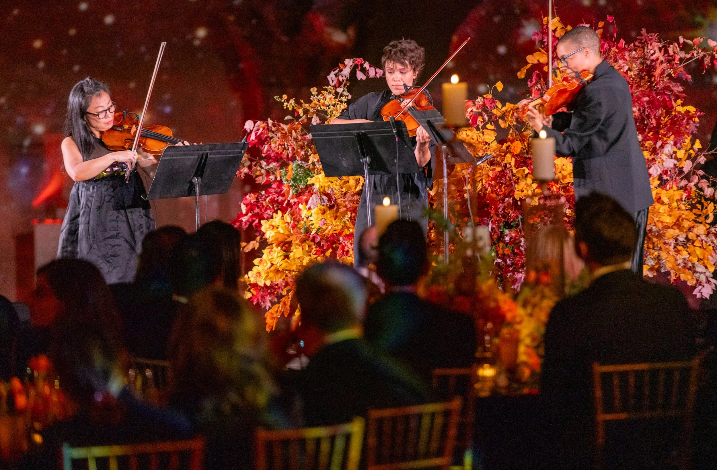 Constellation Gala_MG_003.jpg