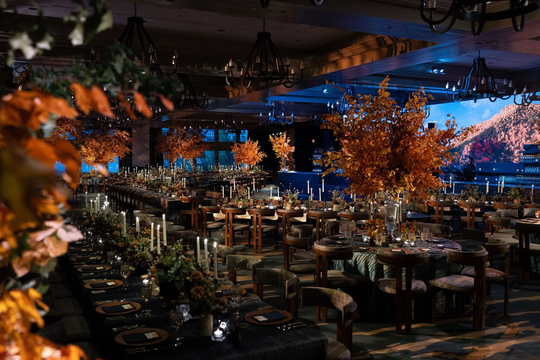 204-AM100722 (1).jpg