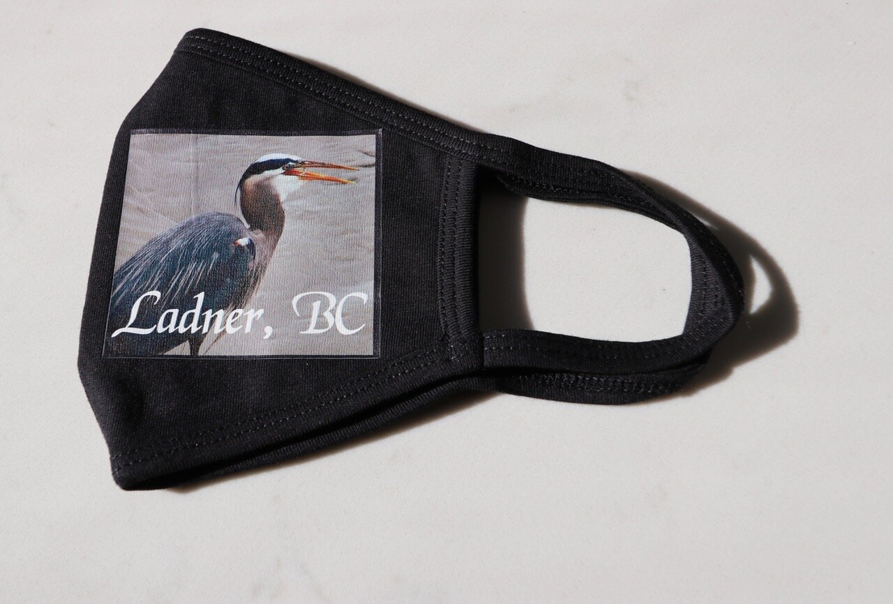 Heron.jpeg