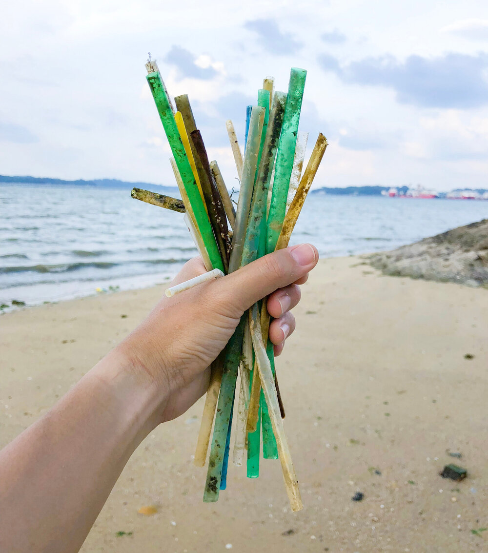 Plastic Straws - Why They Suck & What YOU Can Do — Beyond Plastics -  Working To End Single-Use Plastic Pollution