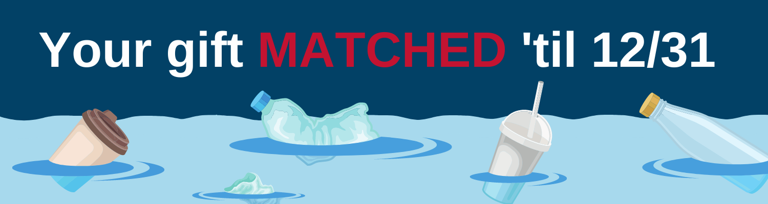 _EOY Matching Gift Header Action Network Donate Page.png