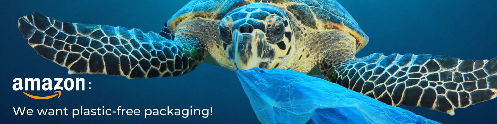 Amazon's BIG Plastic Pollution Problem — Beyond Plastics - Working To ...