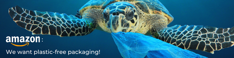 Amazon's BIG Plastic Pollution Problem — Beyond Plastics - Working To ...