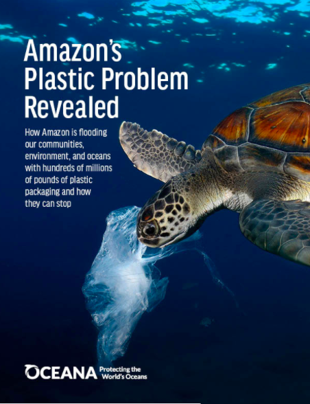 Amazon's BIG Plastic Pollution Problem — Beyond Plastics - Working To ...