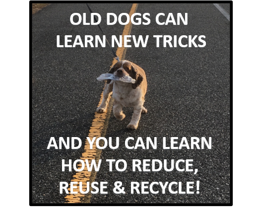 Cocker Spaniel with bottle meme.png