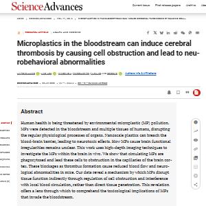 Microplastics in the bloodstream can induce cerebral thrombosis by causing cell obstruction and lead to neurobehavioral abnormalities
