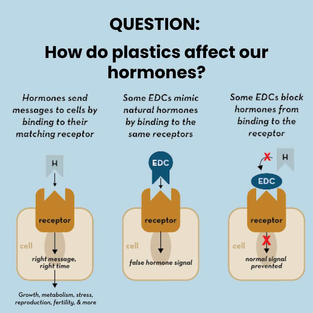 How Does Plastic Affect Our Hormones?
