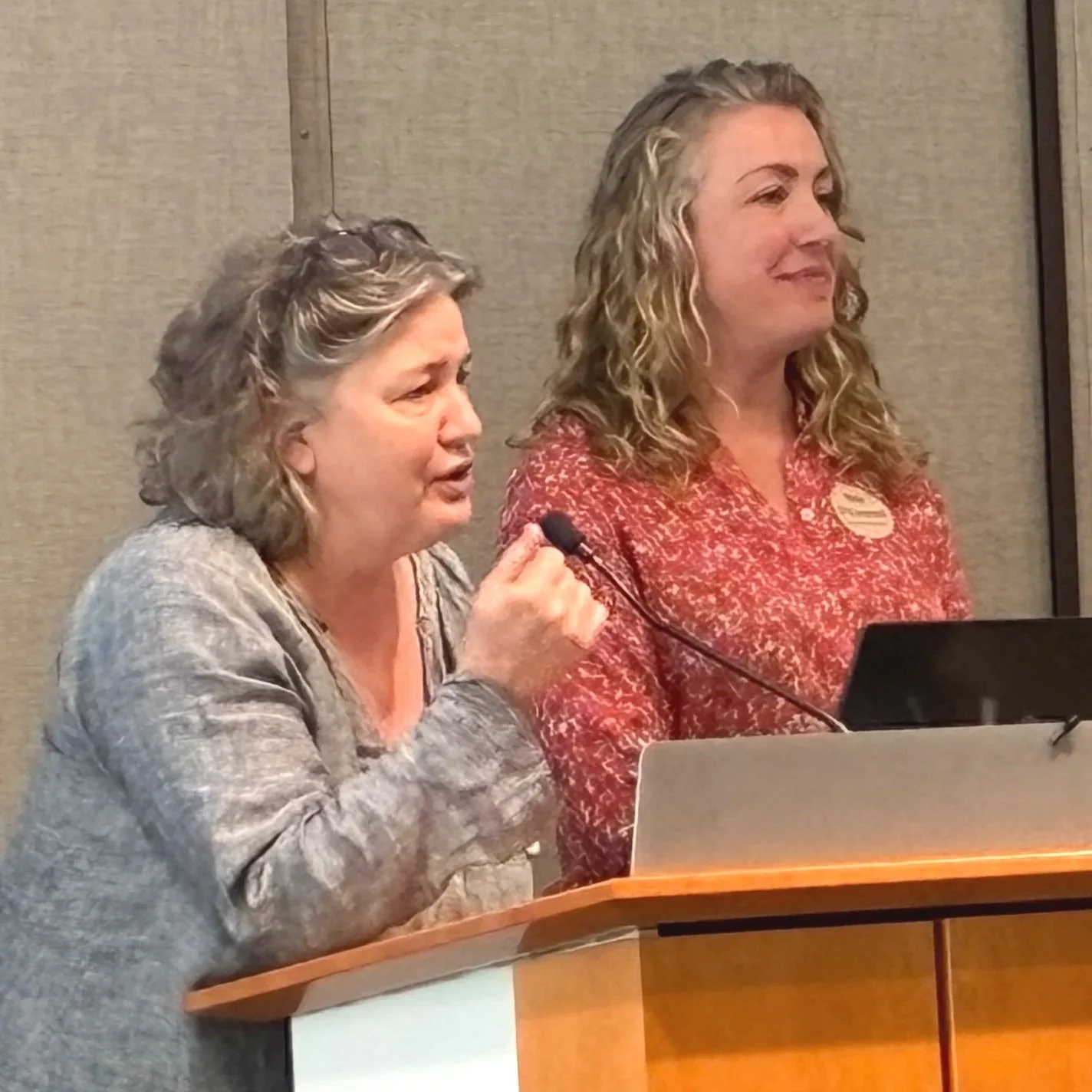 Rebecca Martin and Rita O'Connell, Beyond Plastics