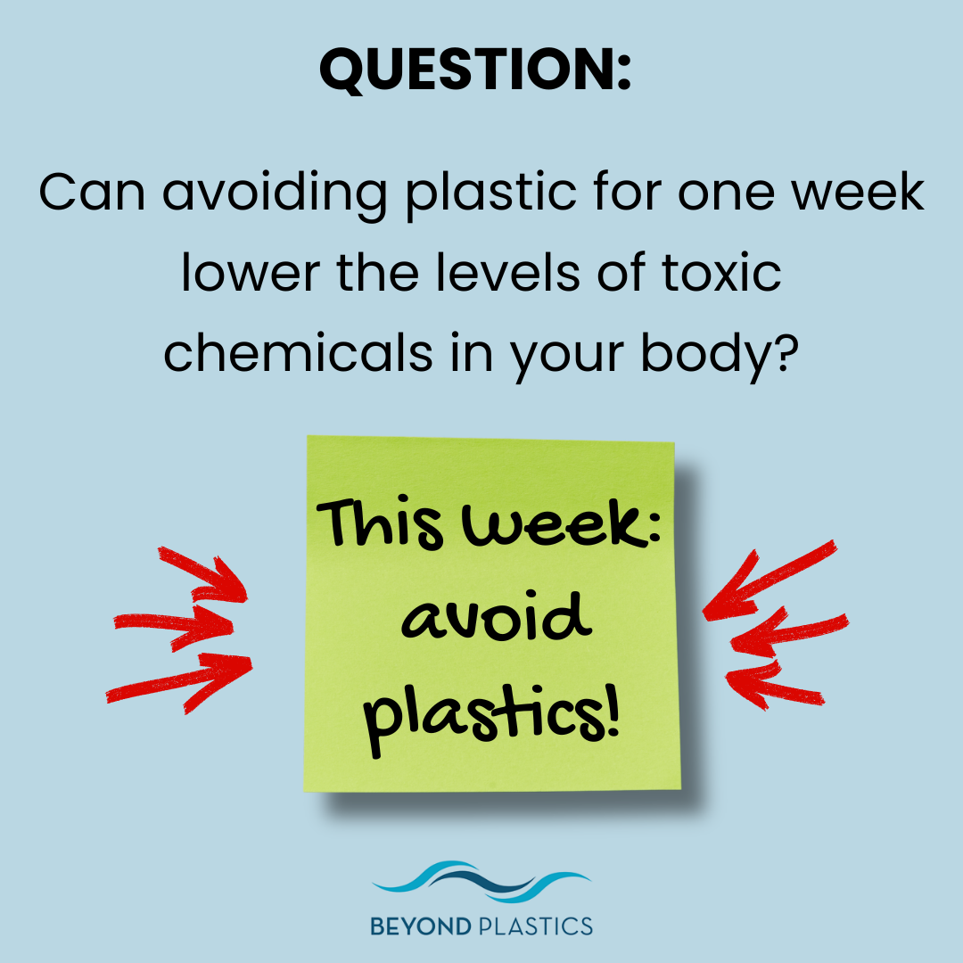 Can Avoiding Plastic for One Week Reduce the Level of Toxic Chemicals in Your Body?