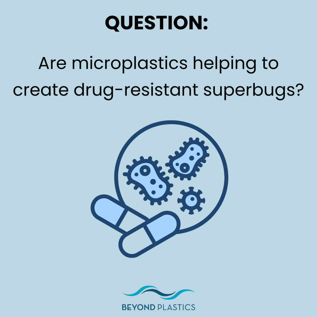 Are microplastics helping to create drug-resistant superbugs?
