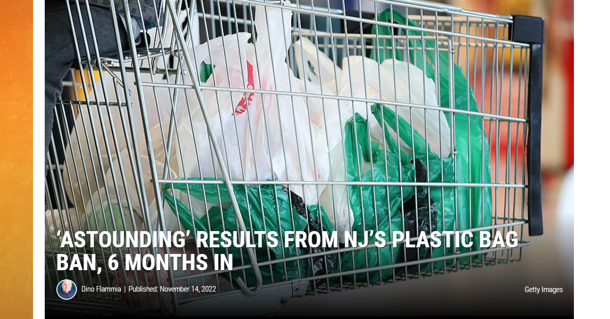 'Astounding’ Results From NJ’s Plastic Bag Ban, 6 Months In — Beyond Plastics Working To End