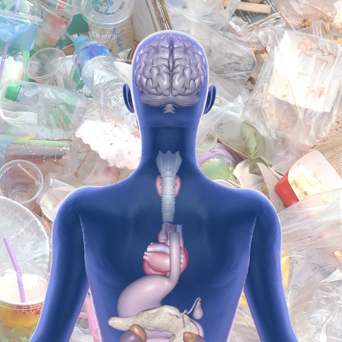 Plastics and Human Health — Beyond Plastics Working To End SingleUse