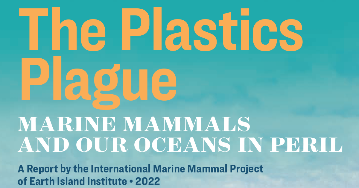 The Plastics Plague: Marine Mammals and Our Oceans in Peril — Beyond ...