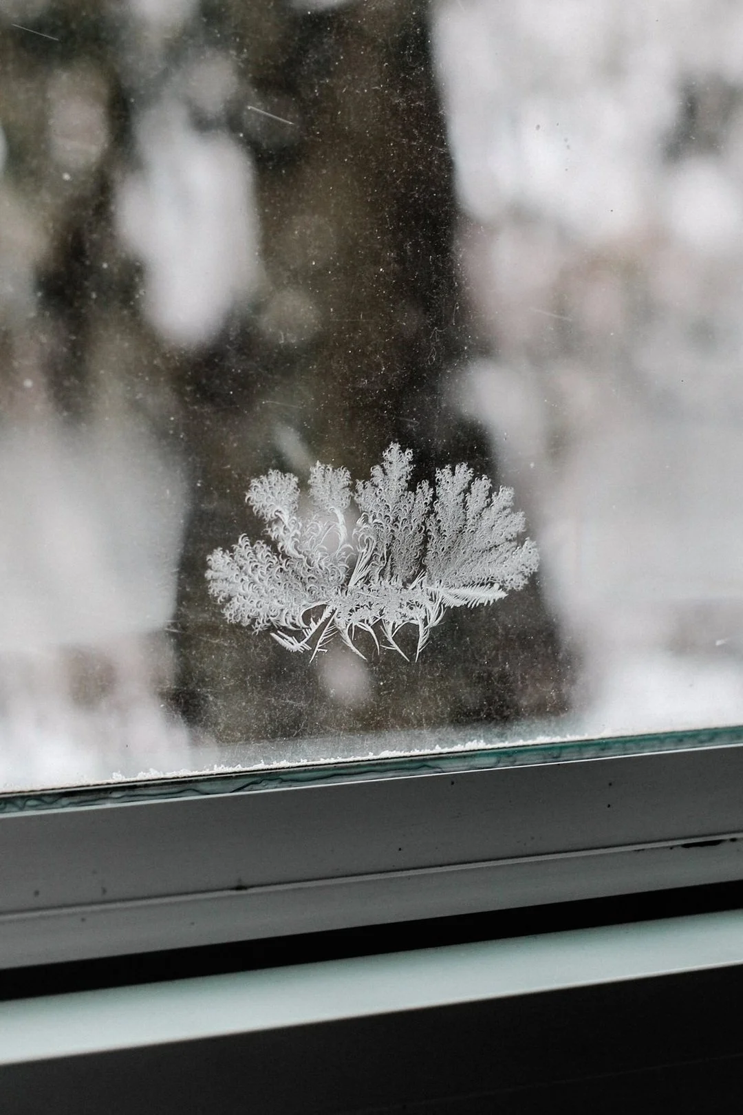 Winter Storm Window Art