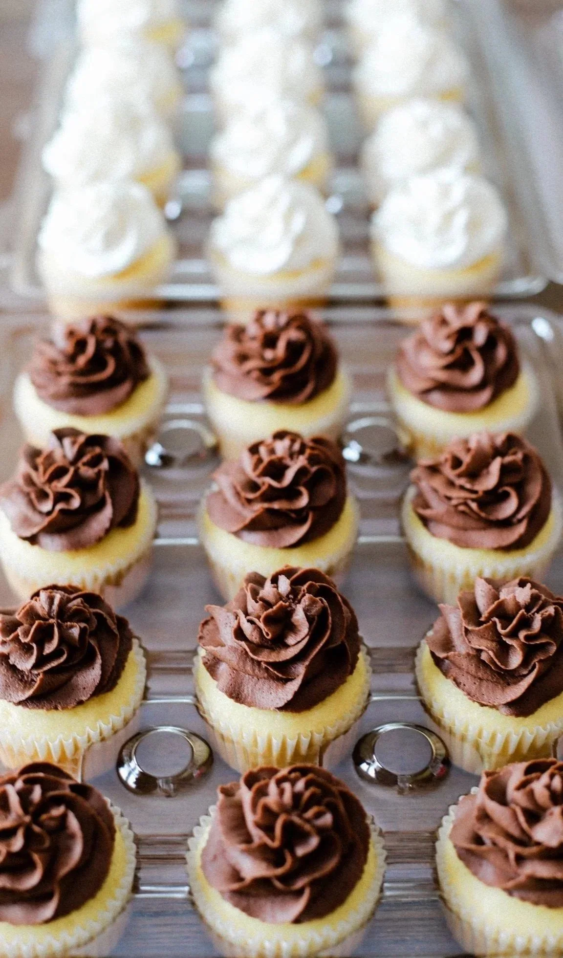 One Dozen Cupcakes, $30