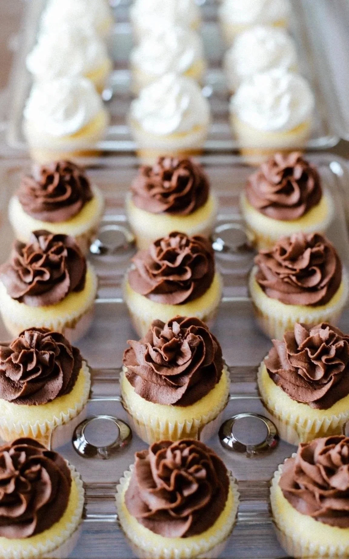 One Dozen Cupcakes, $30