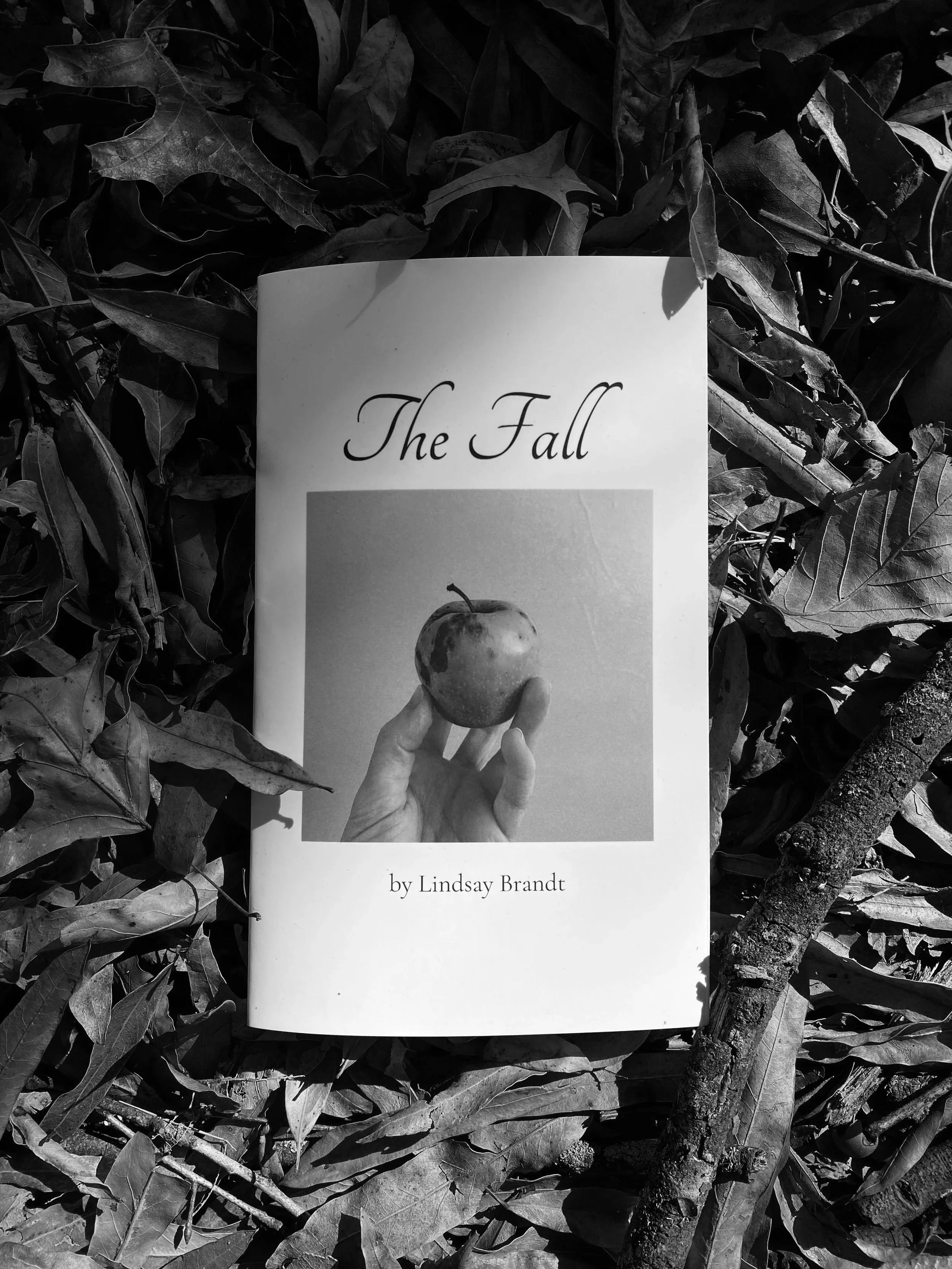 The Fall