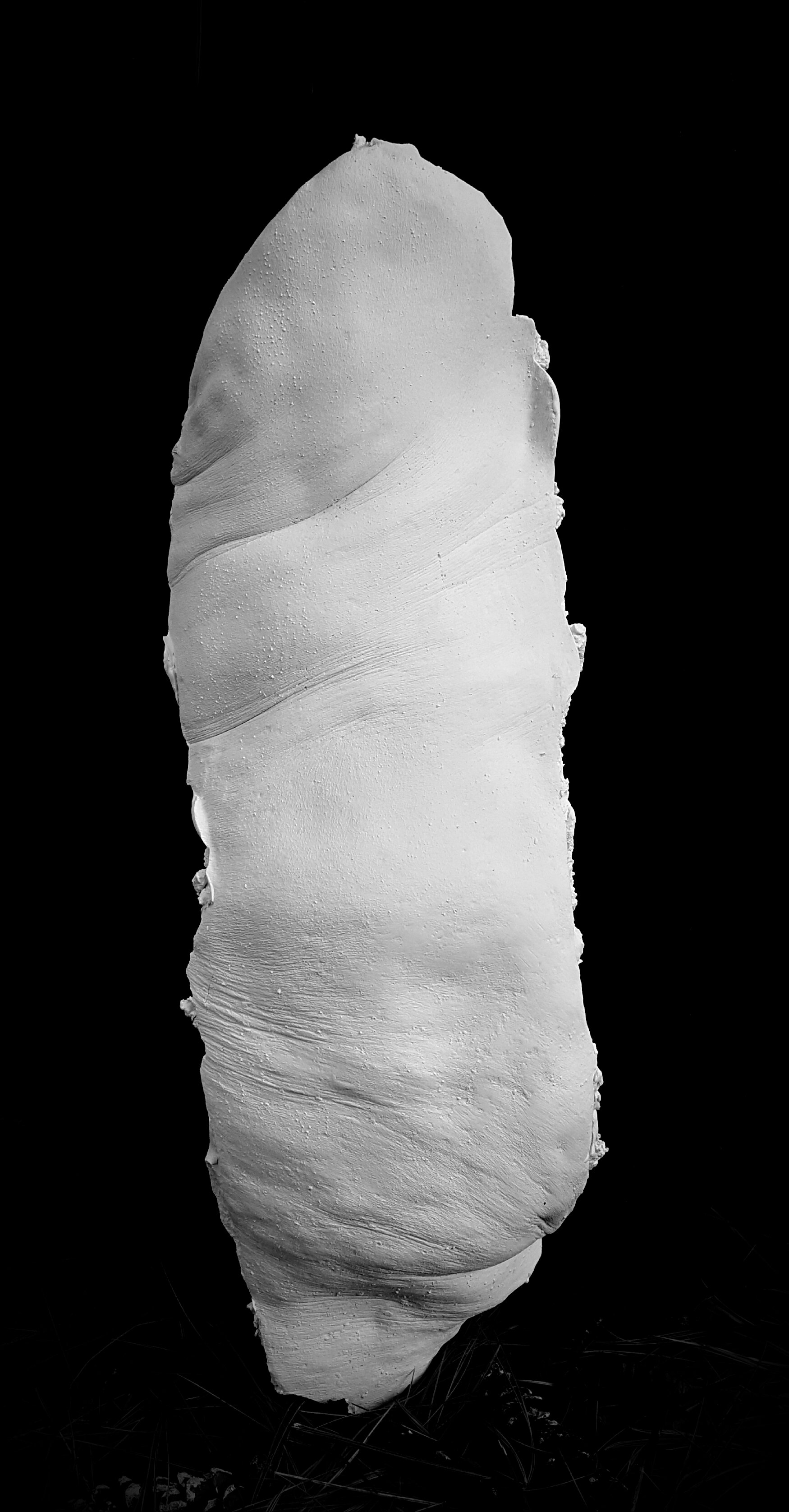 "Document" 2017 2.5’x10”x3” Plaster