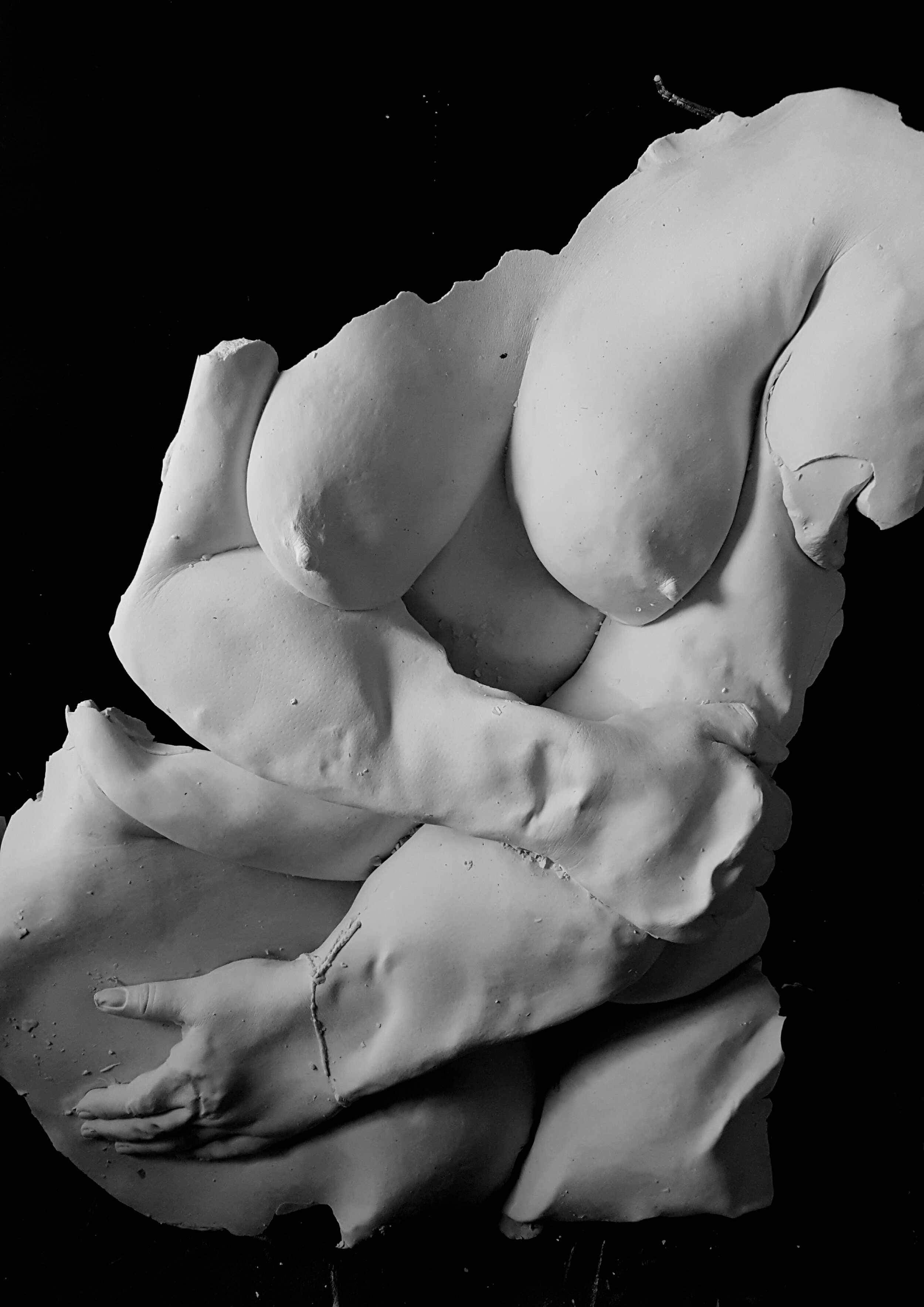 "Inhibition" 2017 2.5’x1.5’x4” Plaster