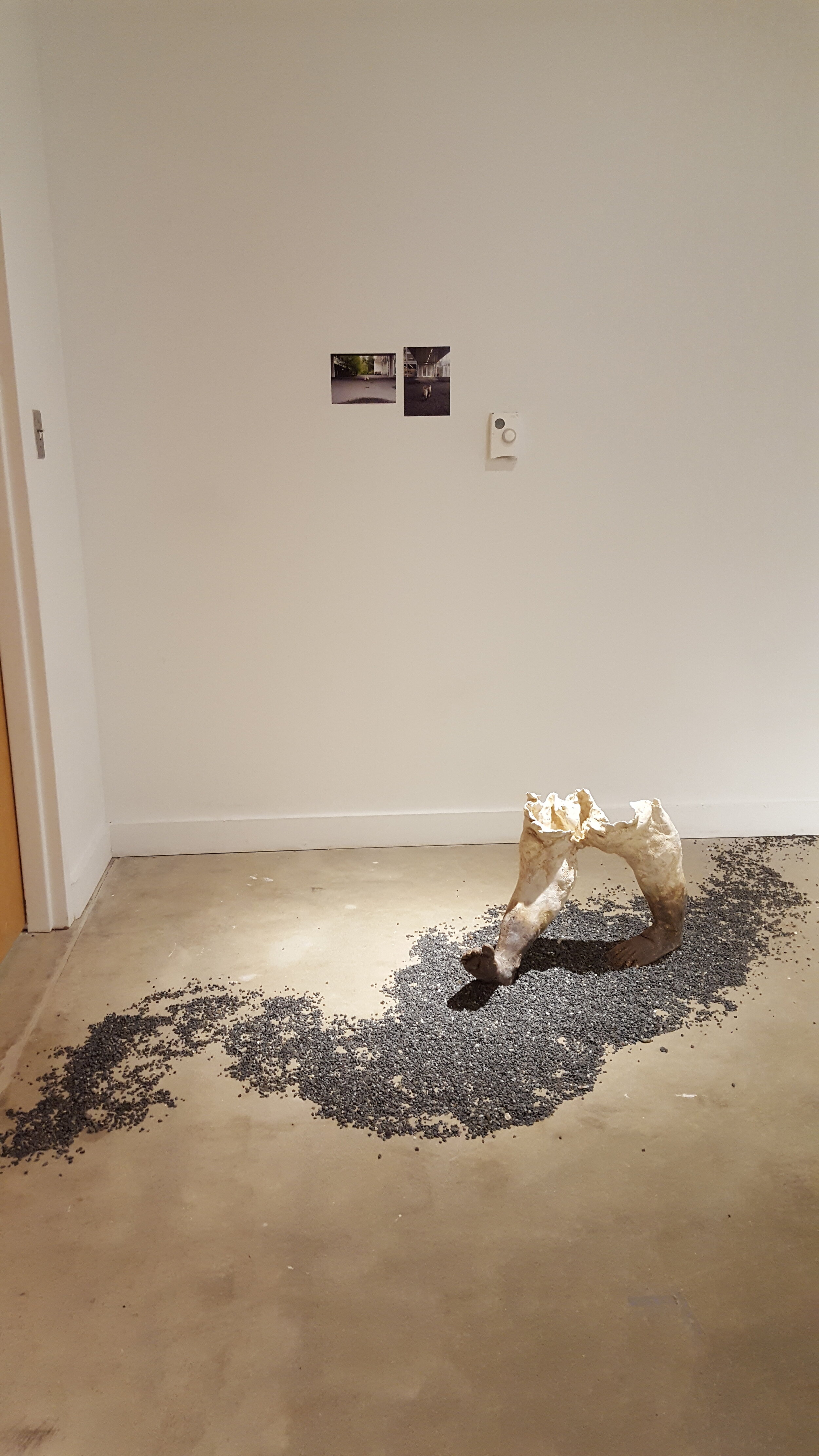 20180429_213906.jpg