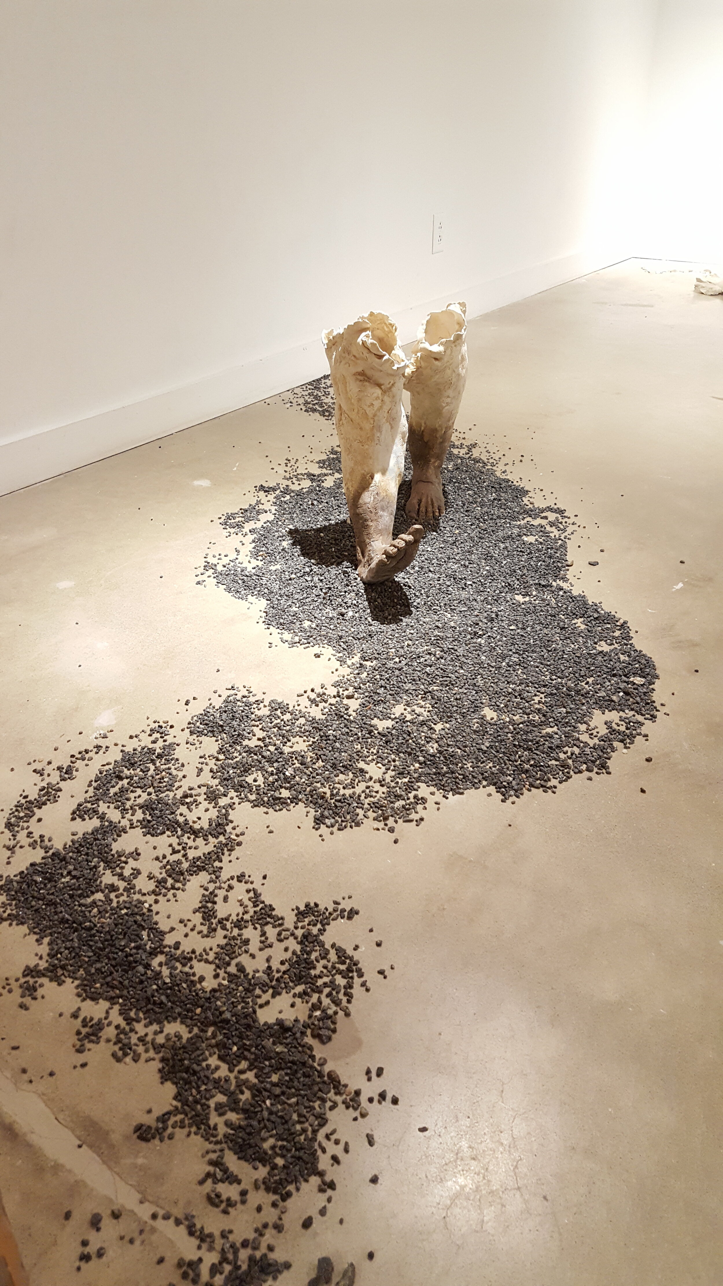 20180429_213921.jpg