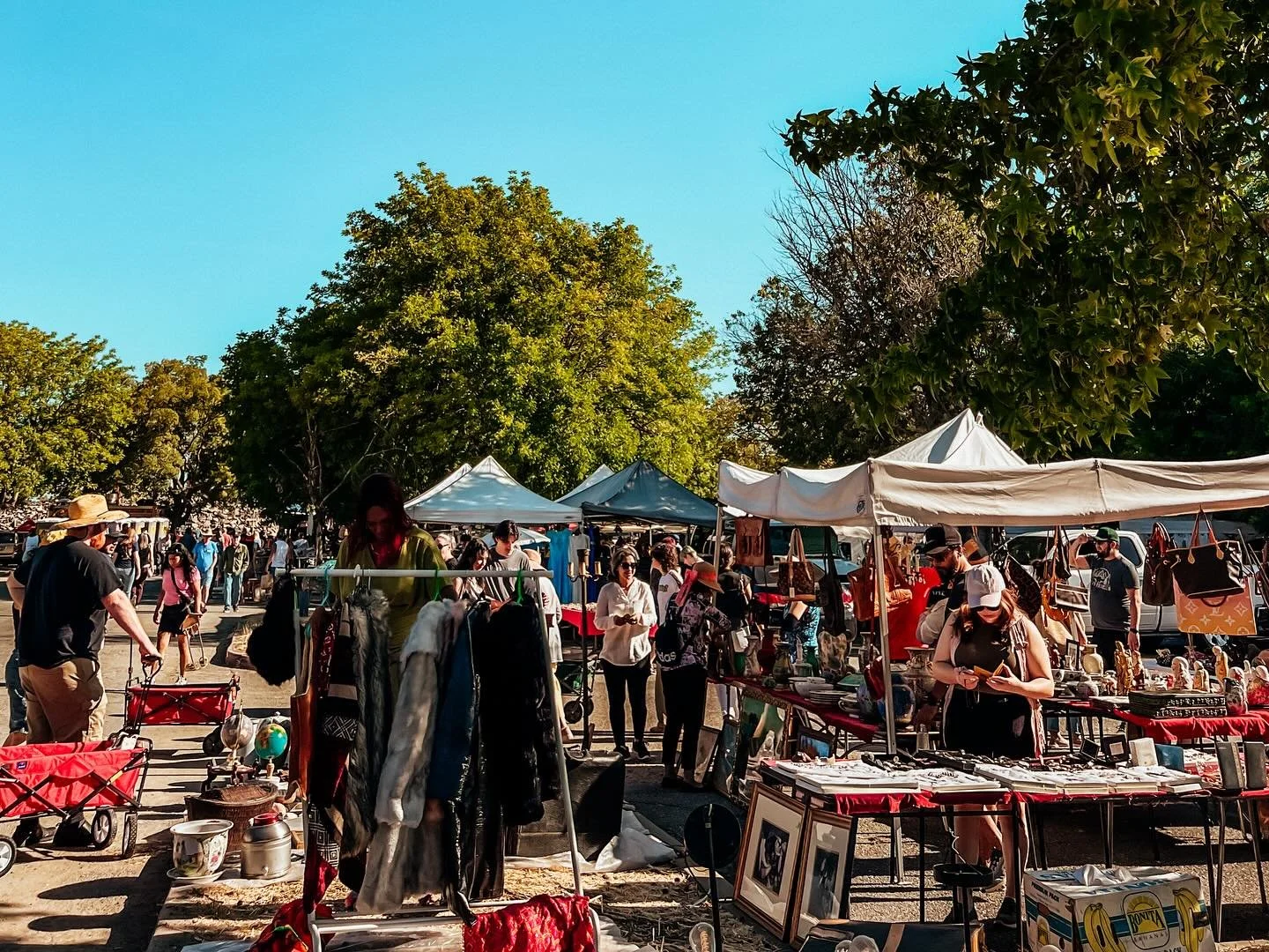 Good morning, Sacramento! The September Faire is OPEN at Sleep Train Arena (East Entrance &amp; Truxel Road). It&rsquo;s going to be a beautiful day - shop with us til 3pm 🥳