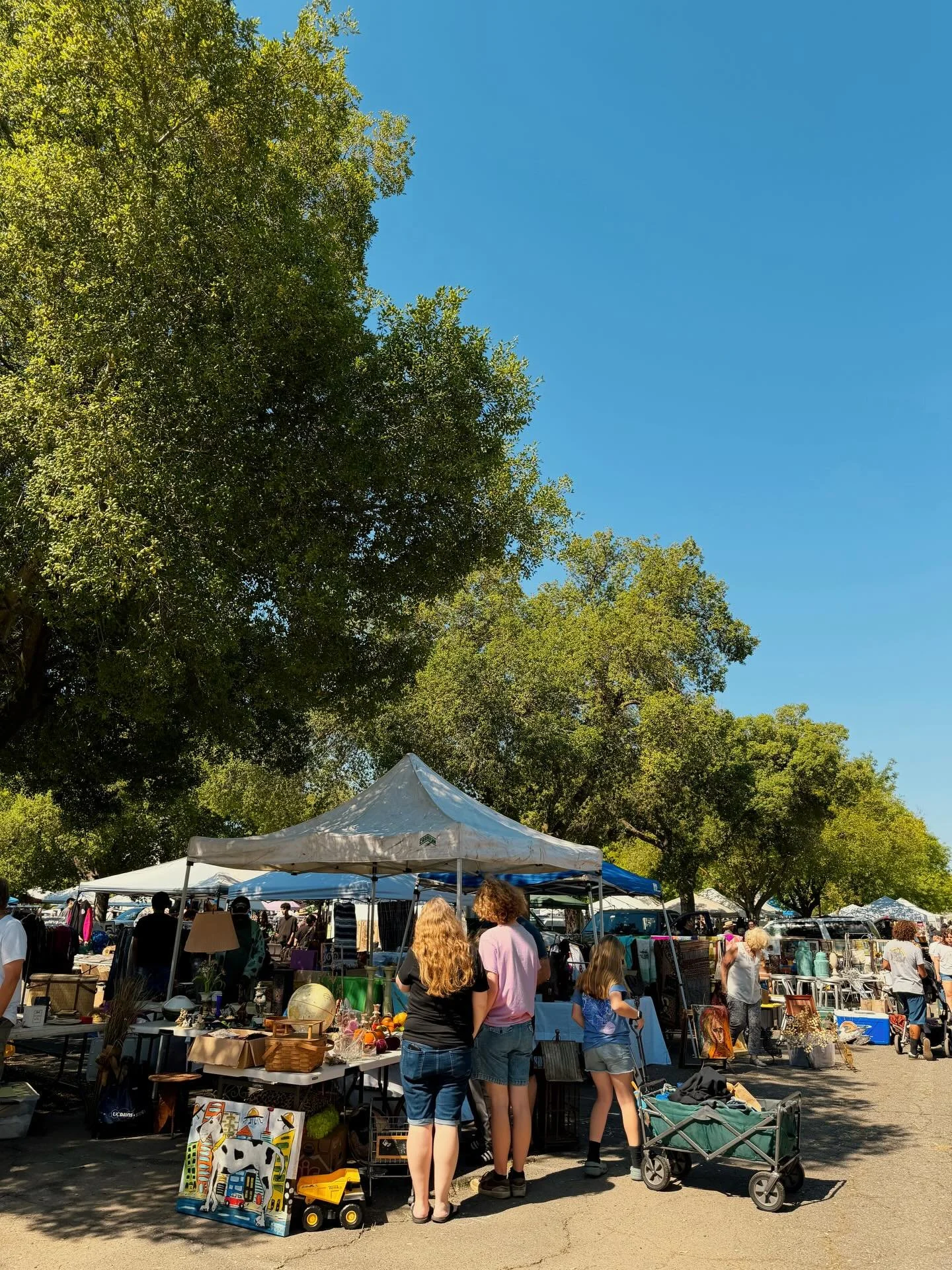 Summer is calling and the June Faire is 2 weeks from today ☀️ Join us on the second Sunday, 6/14!

📍Sleep Train Arena (East Entrance Drive &amp; Truxel Road) | 6:30am-3pm