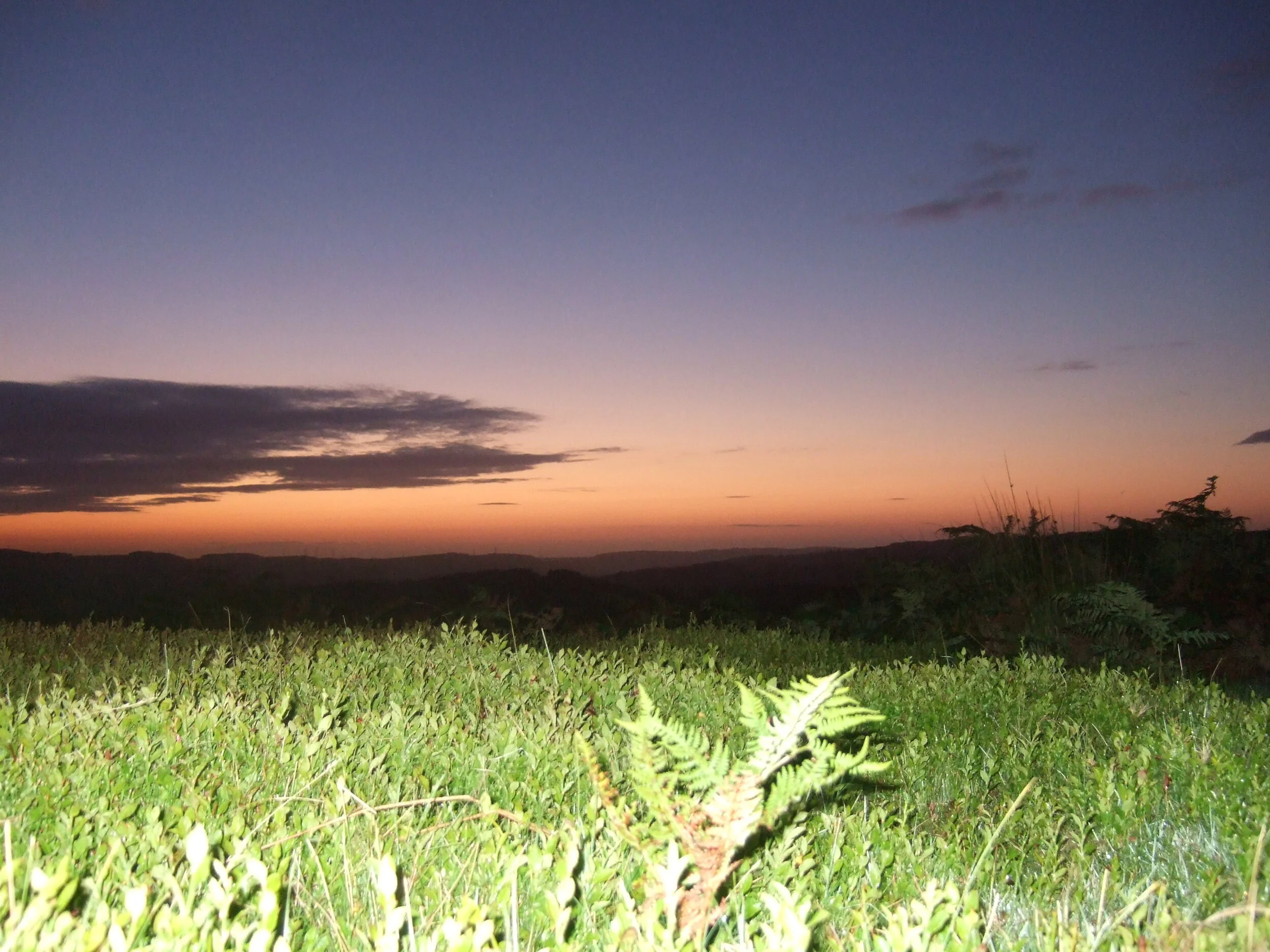 Dawn
