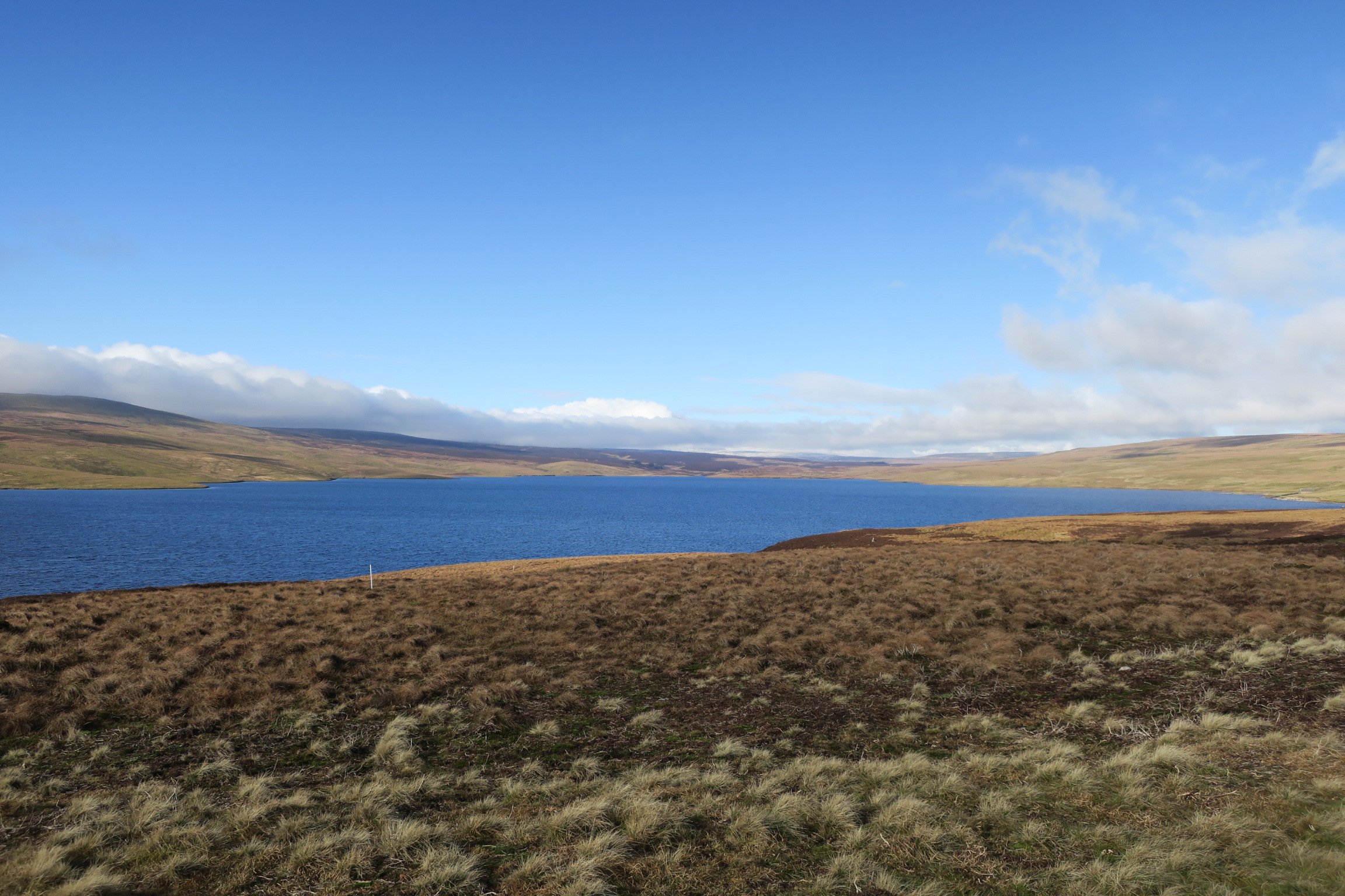 Cow Green Reservoir