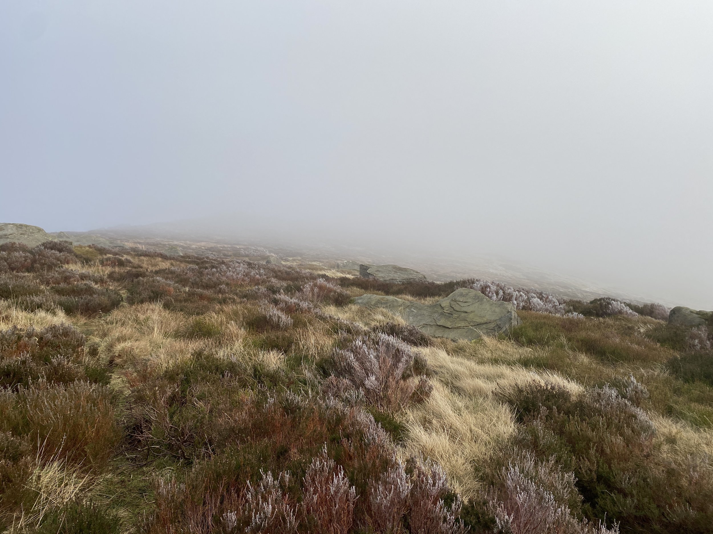 Frosty heather