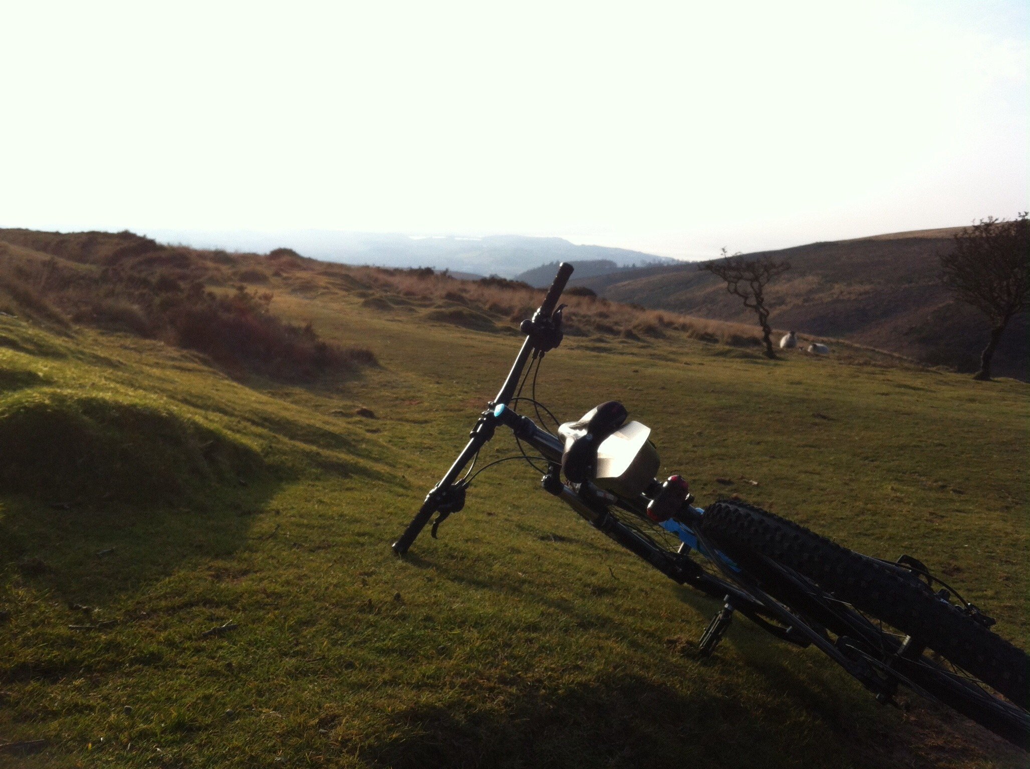 Evening view in the Quantocks