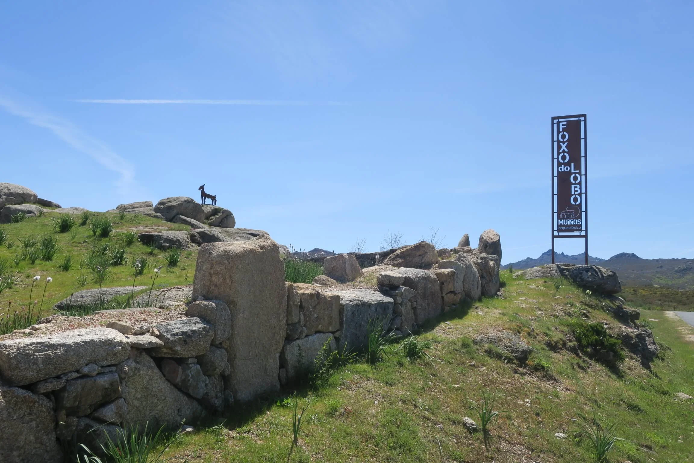 foxo-do-lobo-porqueiros-galicia.JPG