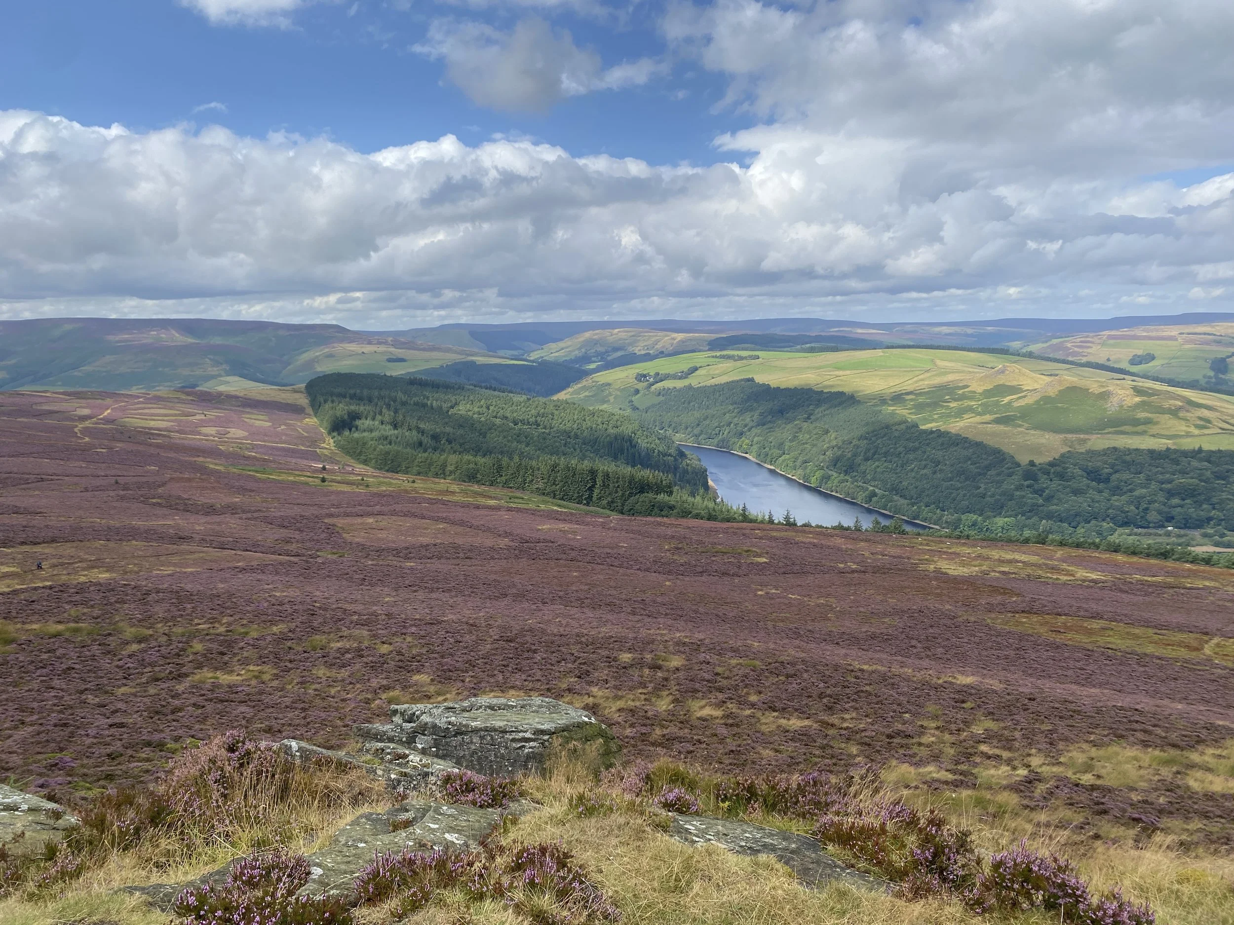 Moorland view of Ladybower in the Peak District with flowering heather