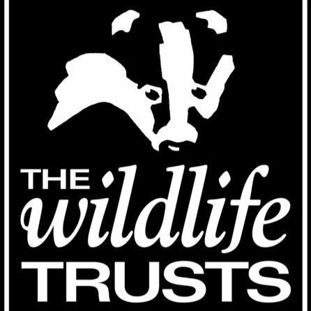 The Wildlife Trusts logo on black background