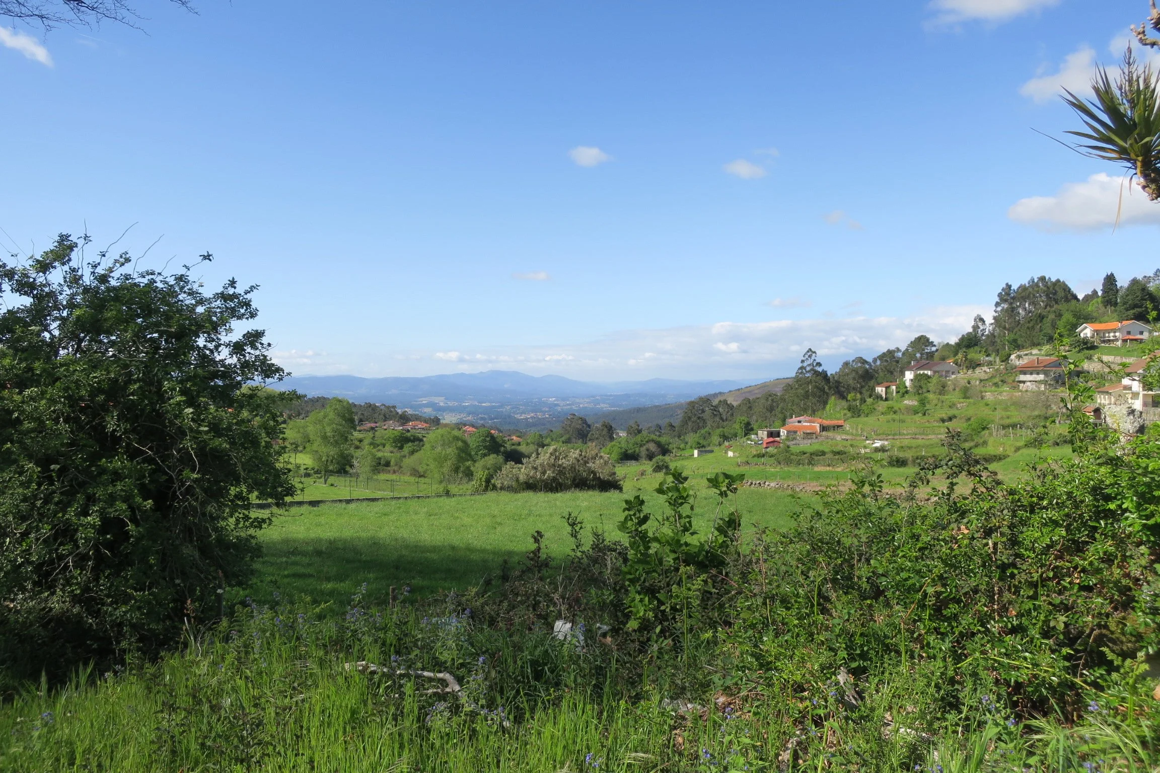 Rural view of Portugal's Minho region, looking toward distant hills in Spain