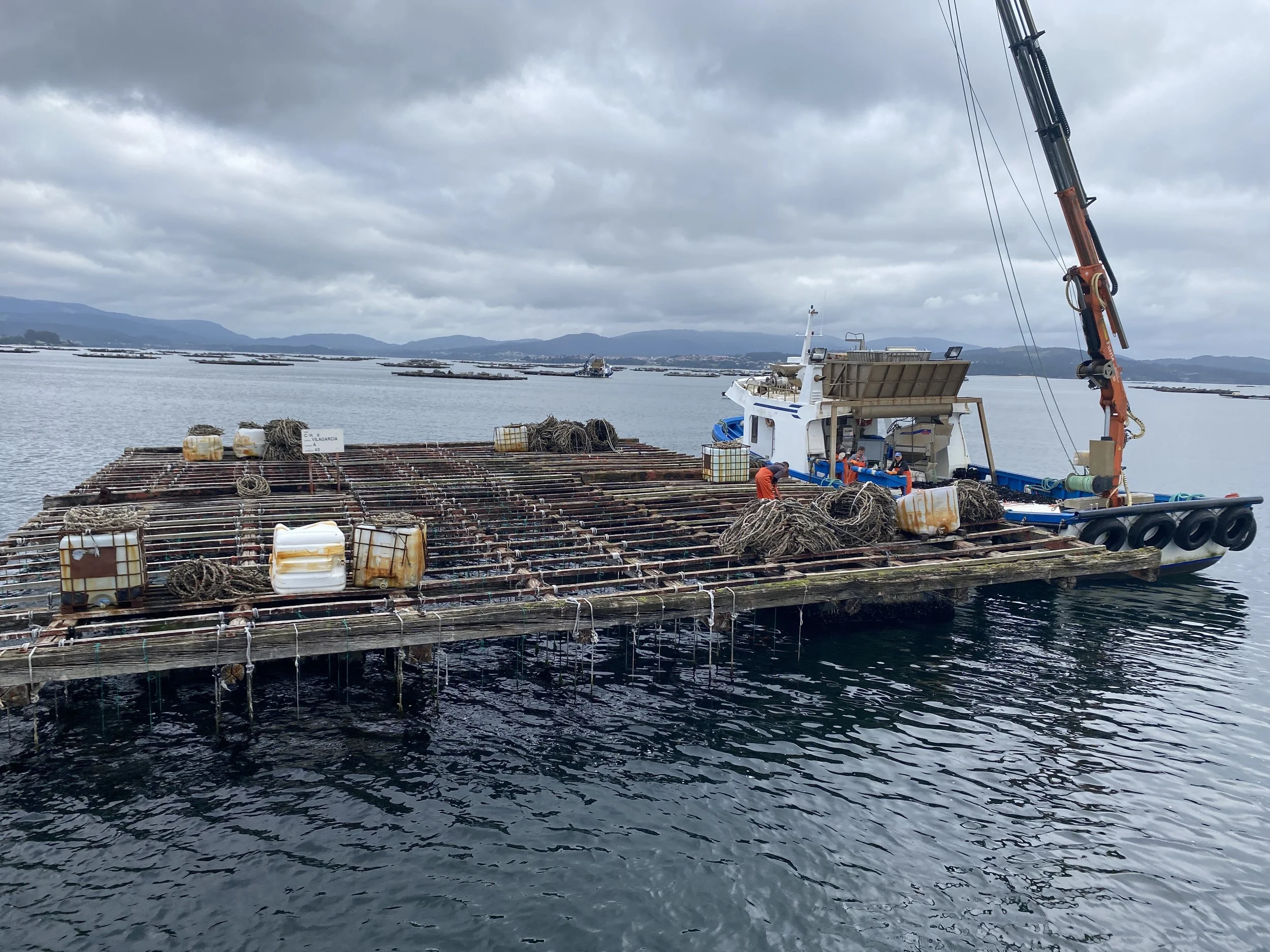 Fishermen working on the bateas floating mussel raft, Galicia