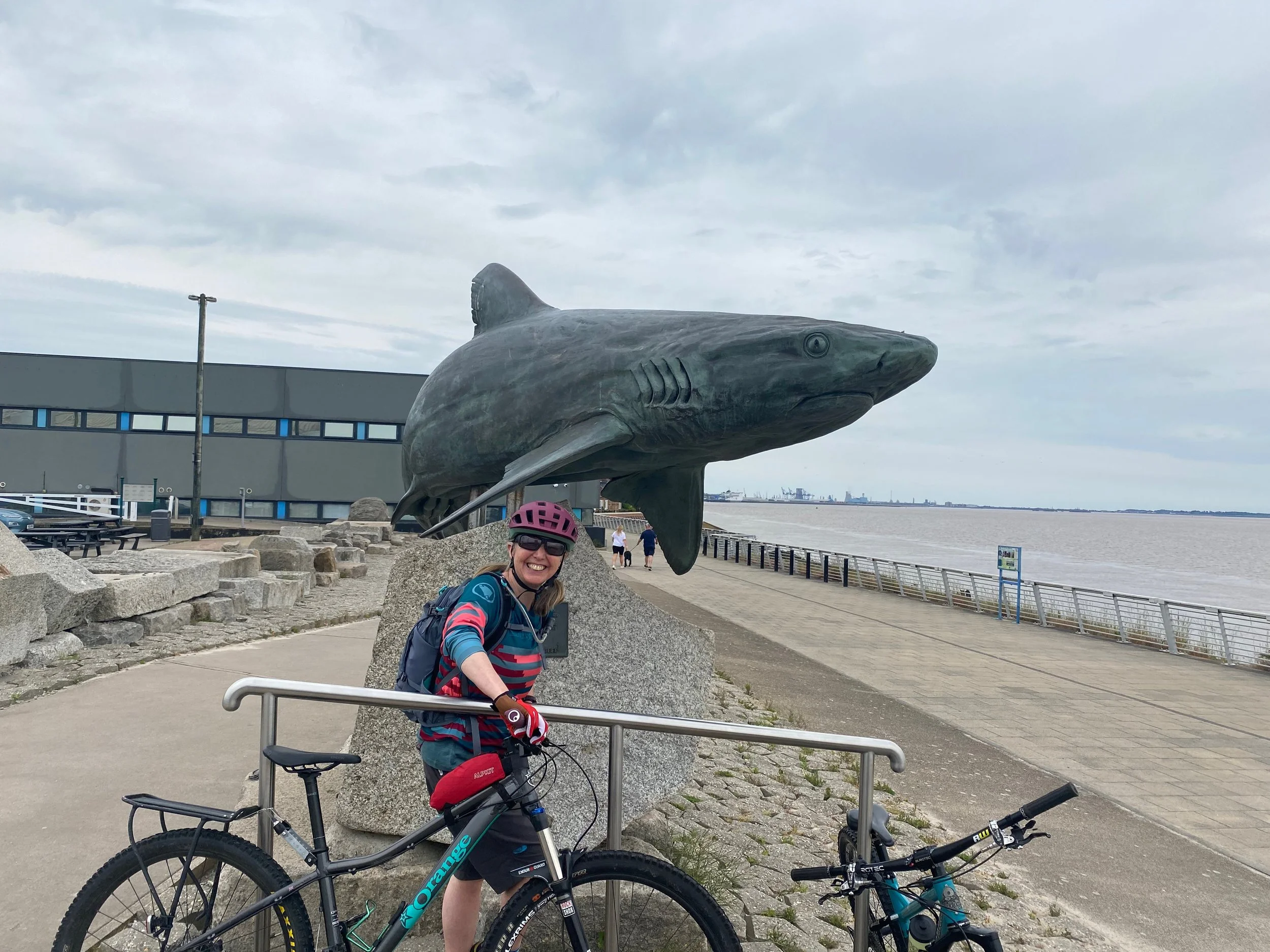 Cyclist in front of shark sculpture with sea in background, outside The Deep in Hull