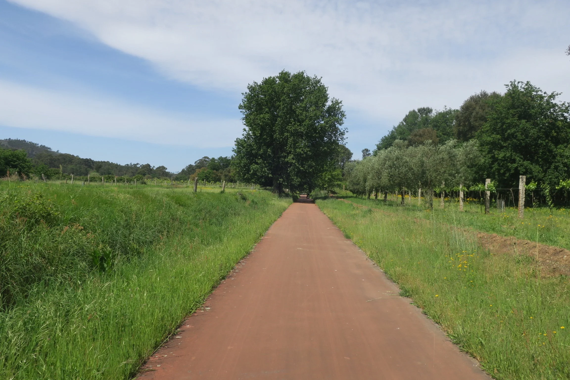 The traffic-free Ecopista do Minho to Valença