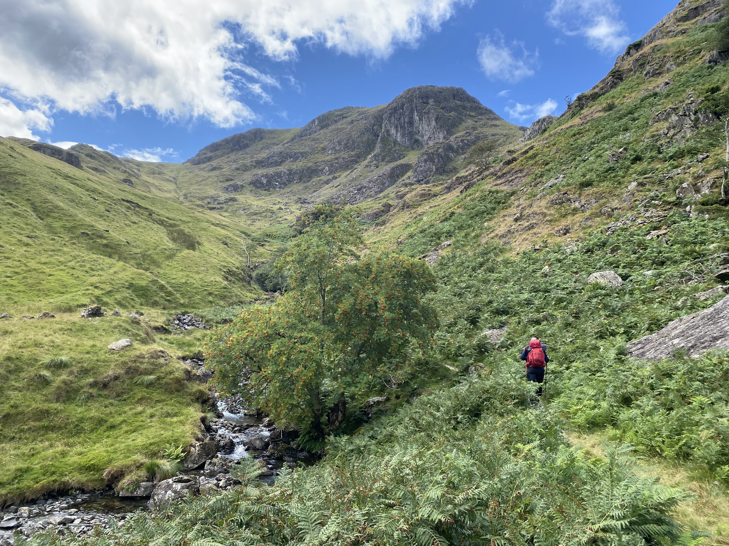Walker with red rucksack on path in Dovedale Valley, Lake District, with mountain above