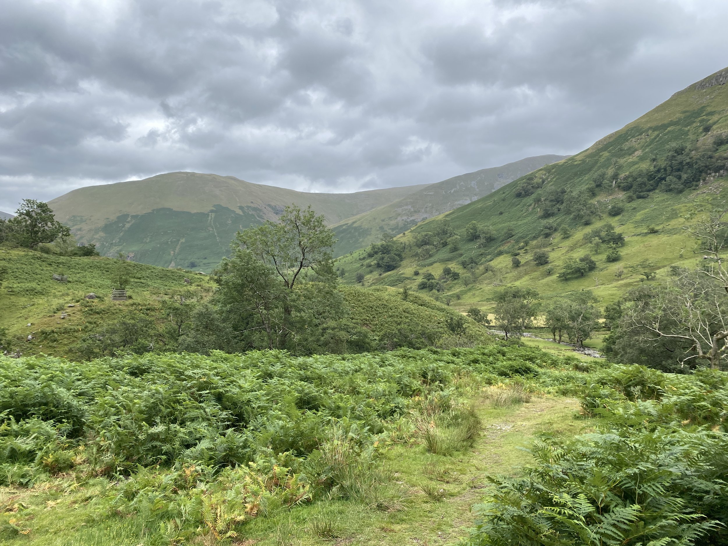 A green vista looking up the valley from Brotherswater, bracken in the foreground and mountains beyond