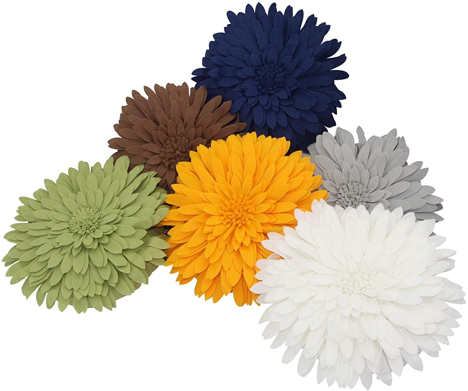 Solid Daisy Collection.jpg