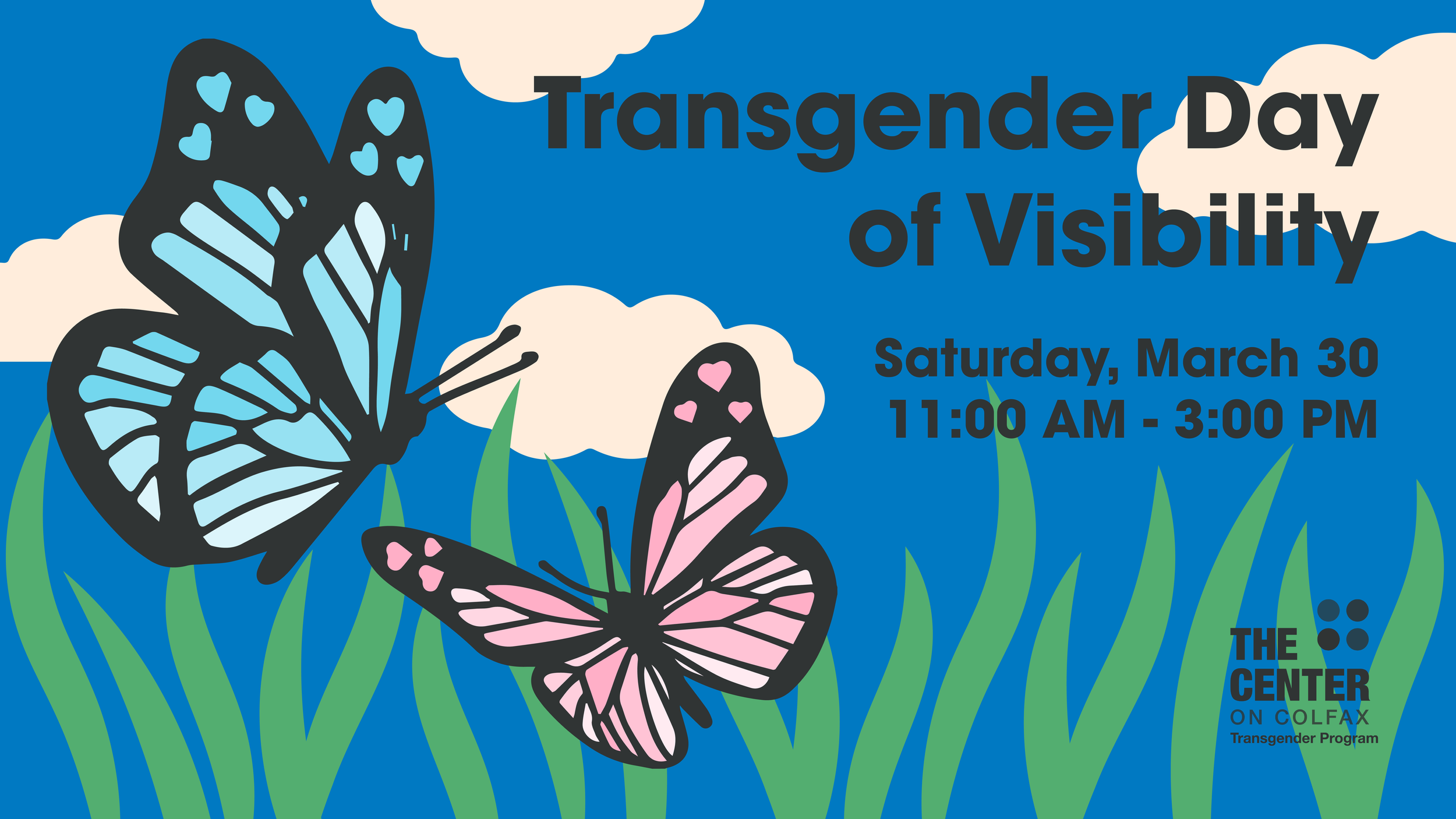 TDOV2024-Graphics-16x9.png