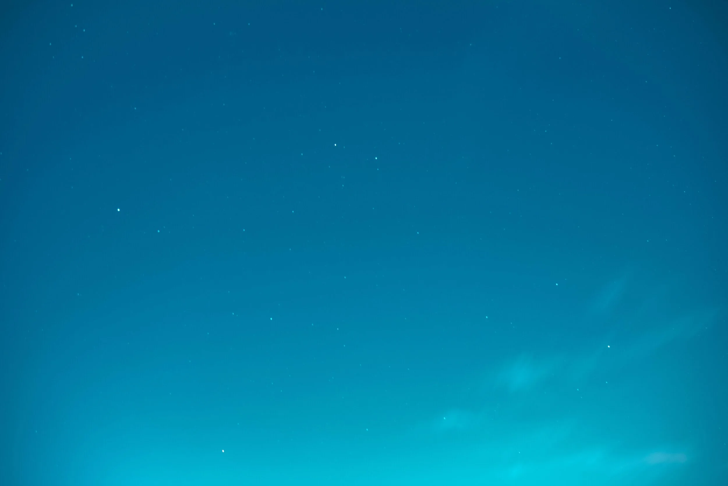 "I appreciate your ability to understand Permasense’s specific needs in terms of complicated domain specific requirements and your willingness to find solutions to technical issues when they arose."