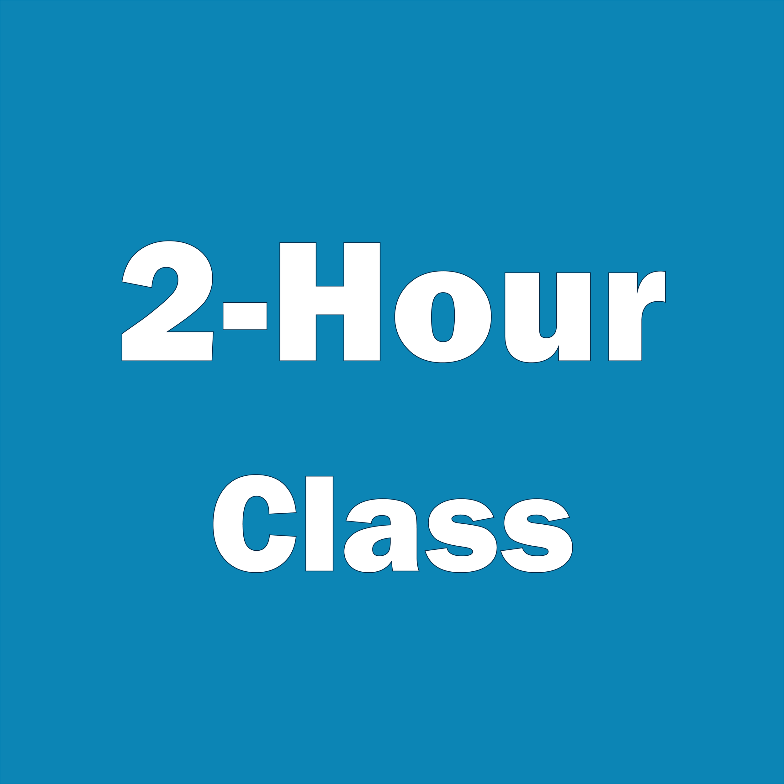 Academic & AP Group Class Options — Vohra Method Tutoring