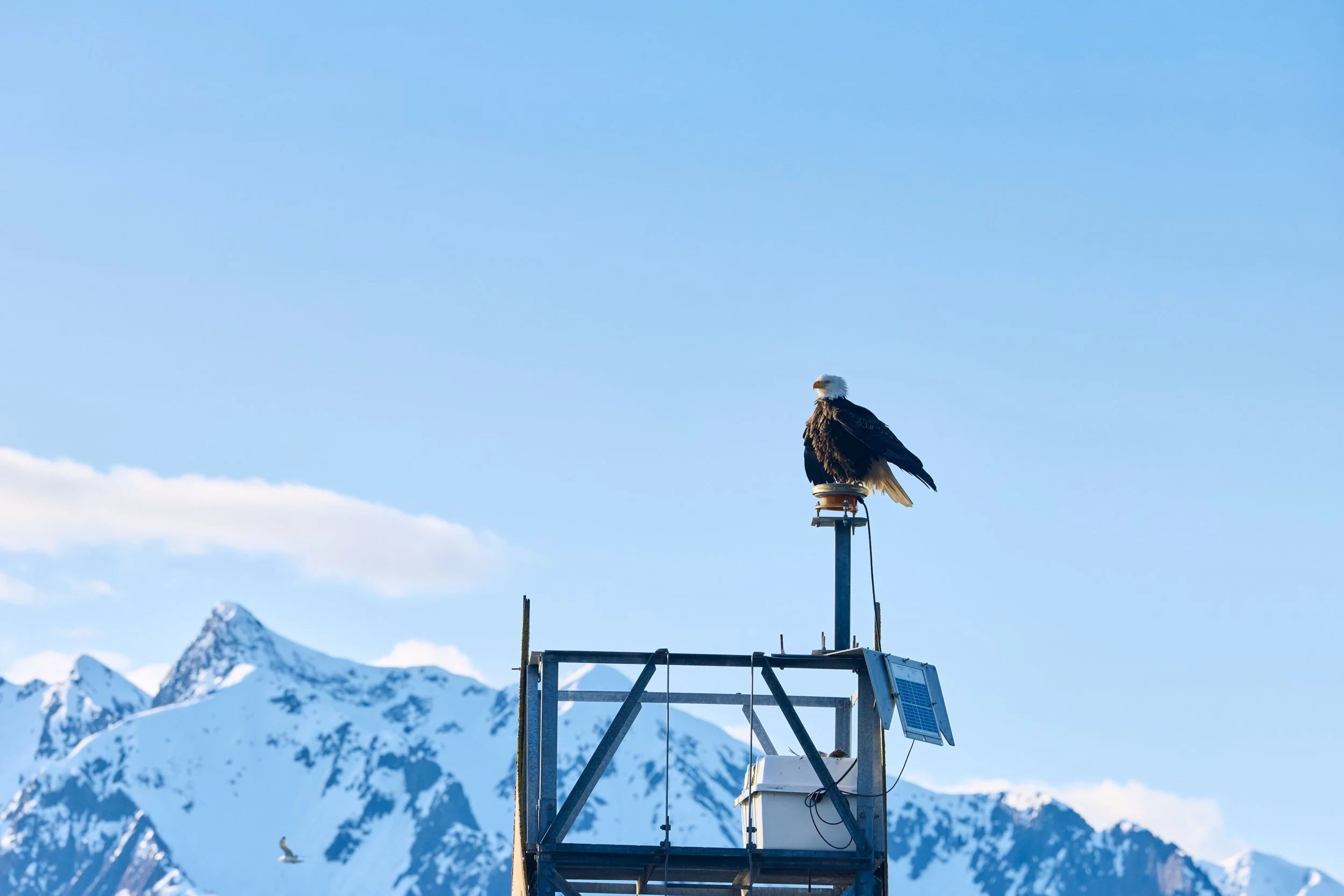 KFT_Colin Way_June052025_Shot 8_25655.jpg