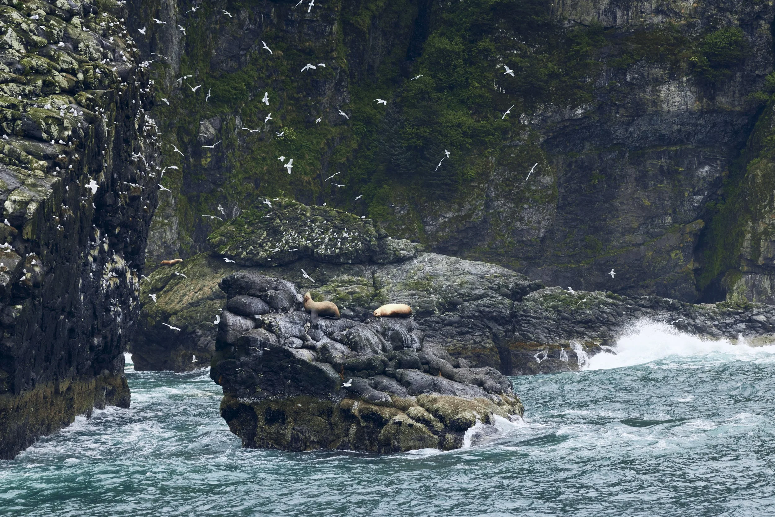 KFT_Colin Way_June052025_Shot 12_28544.jpg