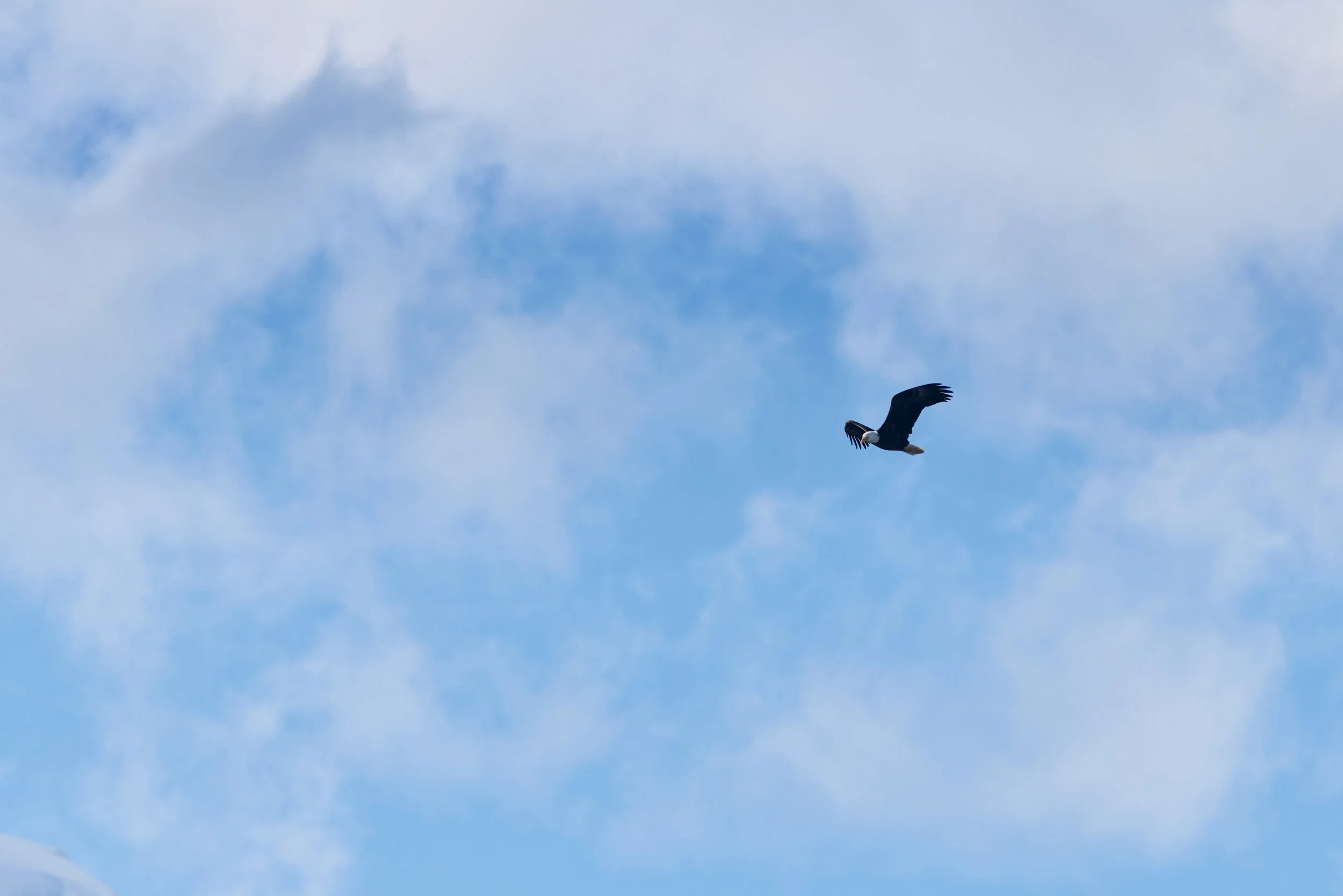 KFT_Colin Way_June052025_Shot 10_27479.jpg