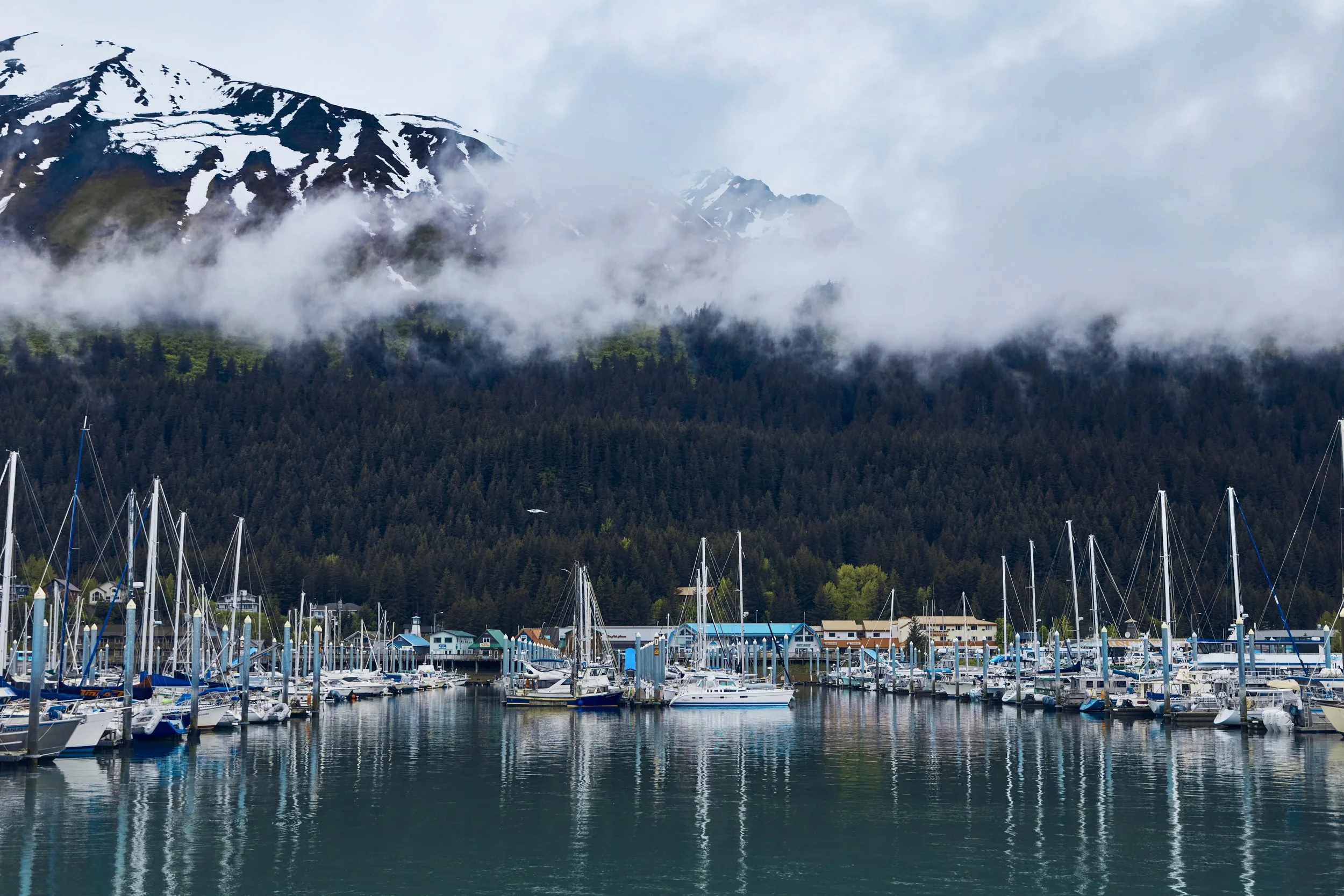 KFT_Colin Way_June052025_Shot 12_28464 1.jpg