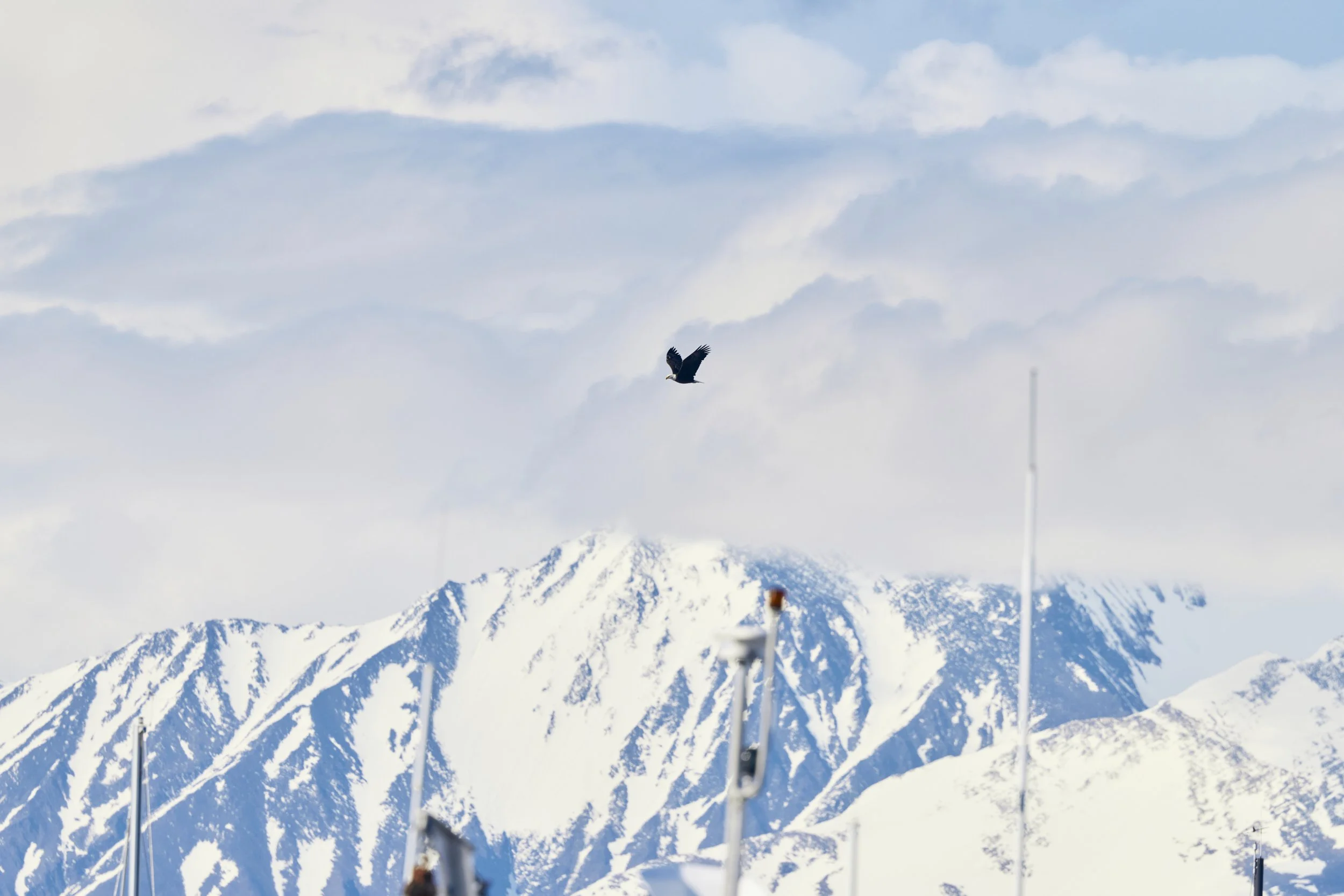 KFT_Colin Way_June052025_Shot 10_27466.jpg